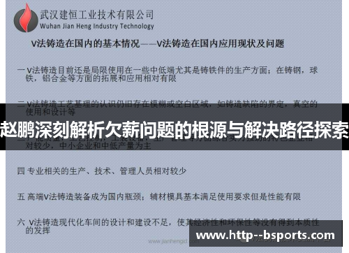 赵鹏深刻解析欠薪问题的根源与解决路径探索
