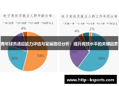 青年球员适应能力评估与发展路径分析：提升竞技水平的关键因素